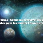 Réponse rapide : Comment conserver les graines de concombre pour les planter l’année prochaine